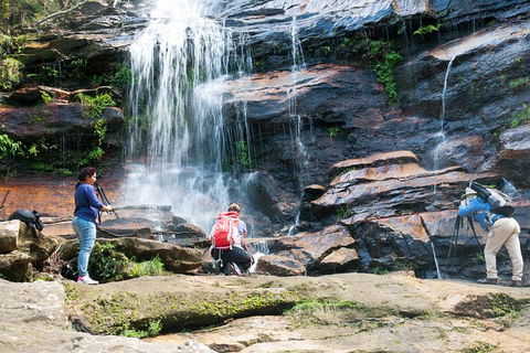 Ultimate Blue Mountains Waterfalls, Walks & Sunset PRIVATE Tour - Kawana Tourism 11