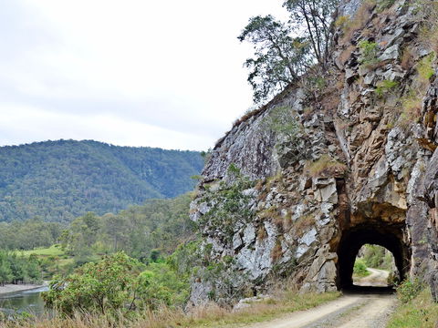 Boyd River - Kawana Tourism 1
