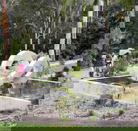 Maroochy Regional Bushland Botanic Garden - Kawana Tourism
