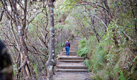Princes Rock Walking Track - Kawana Tourism 0