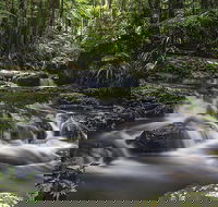 Protesters Falls Walking Track - Kawana Tourism