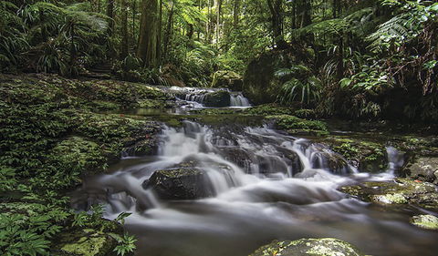 Protesters Falls Walking Track - Kawana Tourism 0
