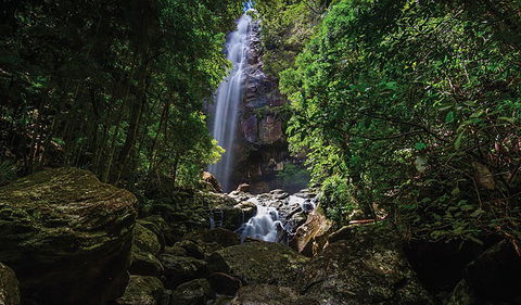 Protesters Falls Walking Track - Kawana Tourism 1