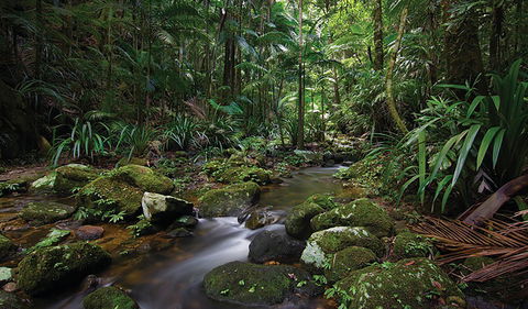 Protesters Falls Walking Track - Kawana Tourism 2