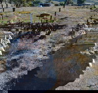 Wangaraleednie Monument  Ruins - Kawana Tourism