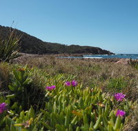Big Rocky Full Day Guided Walk - Kawana Tourism