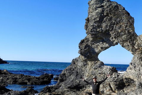 Narooma And Tilba Valley Private Tour - Kawana Tourism 4
