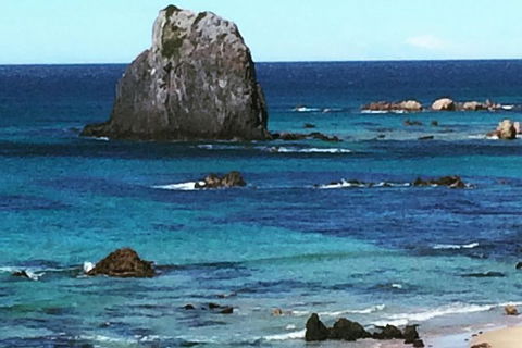 Narooma And Tilba Valley Private Tour - Kawana Tourism 9