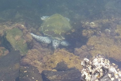 Sawtell To Coffs Harbour Bike Ride - Kawana Tourism 4