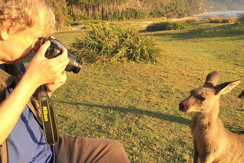 Highlights Of The Eurobodalla (half Day Private Tour) - Kawana Tourism 2