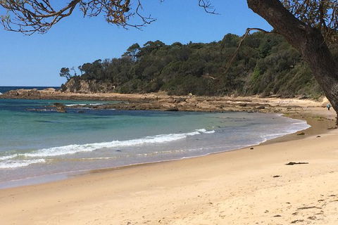 Highlights Of The Eurobodalla (half Day Private Tour) - Kawana Tourism 5