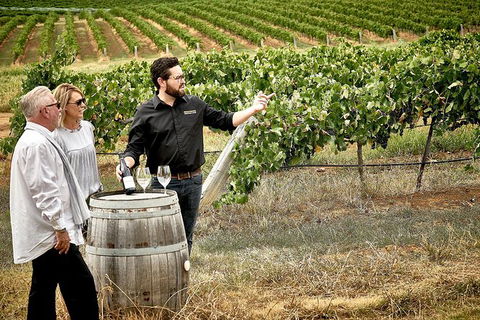 VIP Soil-To-Cellar Experience - Kawana Tourism 0