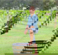 Hunter Valley Grape Stomping - Kawana Tourism