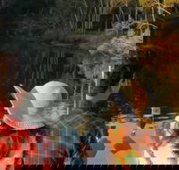 Sunset Eco Rainforest River Cruise