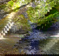 Half-Day Best Of Byron Sightseeing Tour - Kawana Tourism