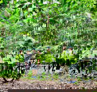 Guided E Bike Tour - Hells Hole Pools  Rainforest - Kawana Tourism