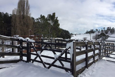 Paddock To Plate Farm Tour And Tasting - Kawana Tourism 11