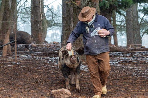 Paddock To Plate Farm Tour And Tasting - Kawana Tourism 5