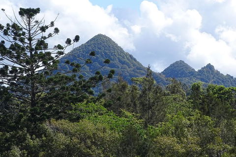 Byron Bay Rainforest Eco-Cruise - Kawana Tourism 3