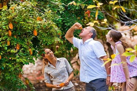 Full-Day Guided Tour Byron Bay With Pickup - Kawana Tourism 1