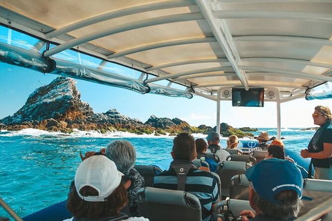 Julian Rocks Byron Bay Cruise - Kawana Tourism 13