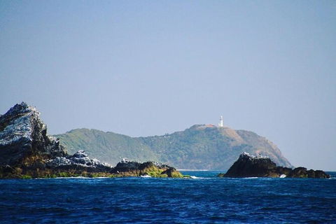 Julian Rocks Byron Bay Cruise - Kawana Tourism 2