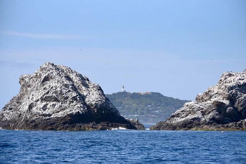 Julian Rocks Byron Bay Cruise - Kawana Tourism 14
