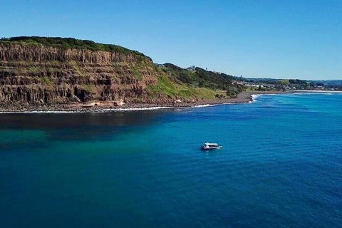 Julian Rocks Byron Bay Cruise - Kawana Tourism 6
