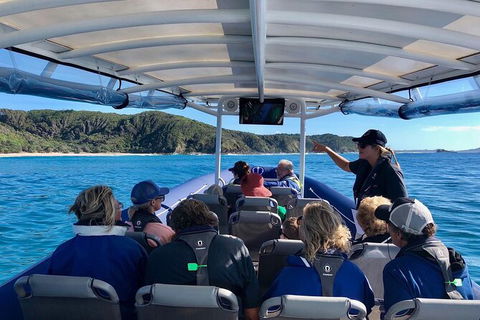 Julian Rocks Byron Bay Cruise - Kawana Tourism 11