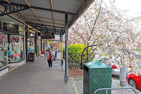 Blue Mountains Highlights, Wildlife Park And Scenic World Full Day Private Tour - Kawana Tourism 2