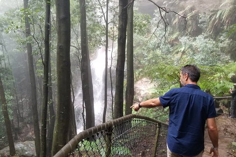 Blue Mountains Highlights, Wildlife Park And Scenic World Full Day Private Tour - Kawana Tourism 6