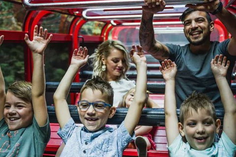 Blue Mountains Highlights, Wildlife Park And Scenic World Full Day Private Tour - Kawana Tourism 5