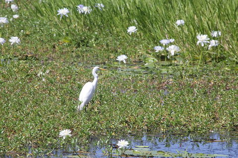 Darwin City Sights And Jumping Crocodile Cruise - Kawana Tourism 1