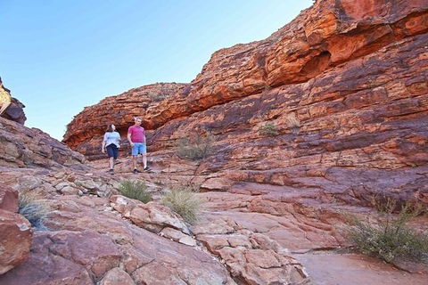 The Amazing Kings Canyon: 4-Hours Walking Tour And Hike - Kawana Tourism 0