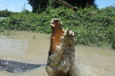 Jumping Crocodile Day Trip From Darwin - Kawana Tourism 4