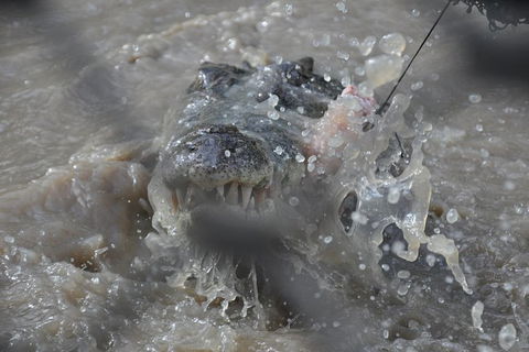 Jumping Crocodile Day Trip From Darwin - Kawana Tourism 1