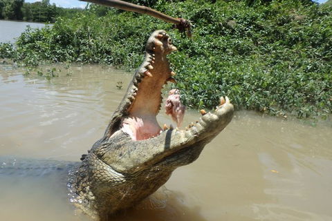 Jumping Crocodile Day Trip From Darwin - Kawana Tourism 2