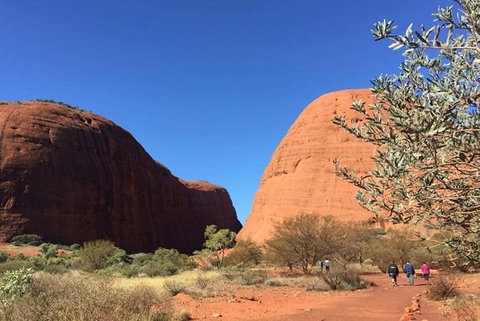 5-Hour Kata Tjuta Sunrise Tour From Ayers Rock With Breakfast - Kawana Tourism 2