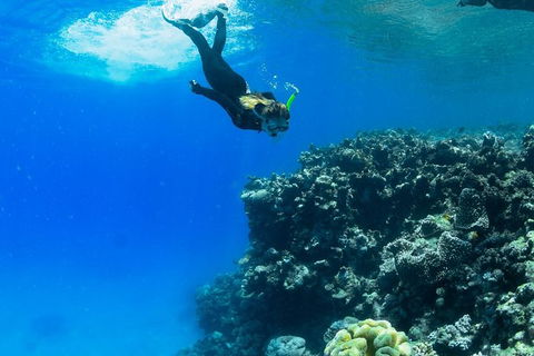 Full-Day Cruise Tour To Frankland Islands Great Barrier Reef - Kawana Tourism 6