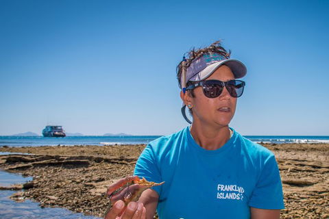 Full-Day Cruise Tour To Frankland Islands Great Barrier Reef - Kawana Tourism 13