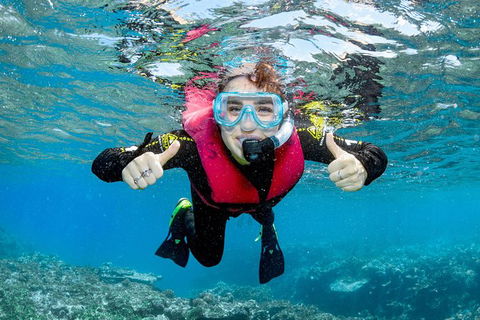 Full-Day Cruise Tour To Frankland Islands Great Barrier Reef - Kawana Tourism 10