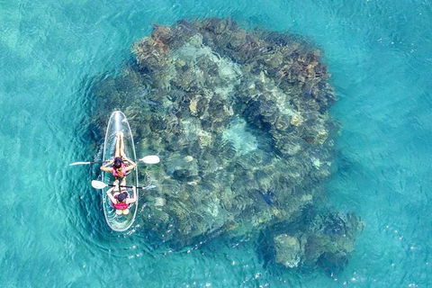 Full-Day Cruise Tour To Frankland Islands Great Barrier Reef - Kawana Tourism 1