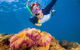 Full-Day Cruise Tour To Frankland Islands Great Barrier Reef - thumb 16