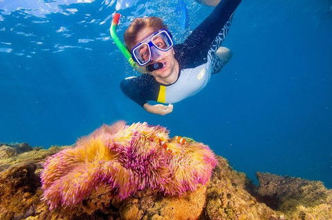 Full-Day Cruise Tour To Frankland Islands Great Barrier Reef - Kawana Tourism 16