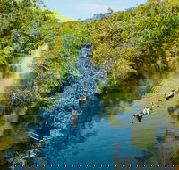 Cruise 'n' Canoe to Australia's Everglades - Kawana Tourism