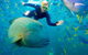 Great Barrier Reef Scenic Flight And Ocean Rafting Whitehaven Beach Day Trip - thumb 4