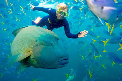 Great Barrier Reef Scenic Flight And Ocean Rafting Whitehaven Beach Day Trip - Kawana Tourism 4