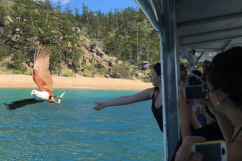 Aquascene Magnetic Island Discovery Tour - Kawana Tourism 2