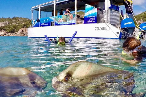 Aquascene Magnetic Island Discovery Tour - Kawana Tourism 4