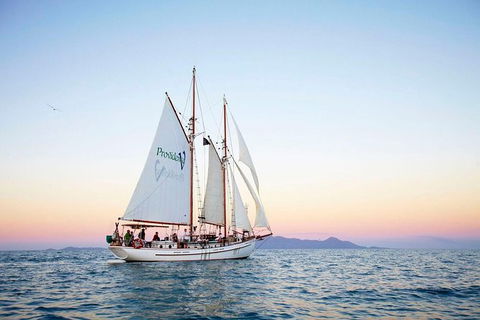 Fly & Sail Package (With Providence) - Kawana Tourism 3